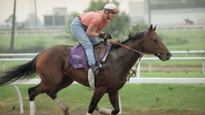 Farewell to Touch Gold: Belmont Stakes hero crosses final finish line