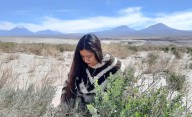 “De la tradición indígena a la medicina ancestral: rescatan usos de plantas en el desierto de Atacama”