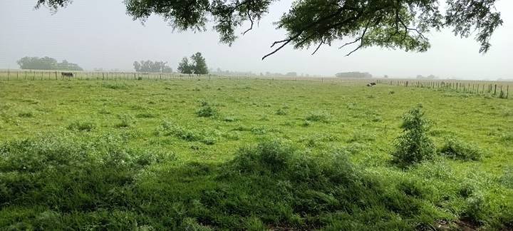 Como nublado…. Pero de tierra patagónica