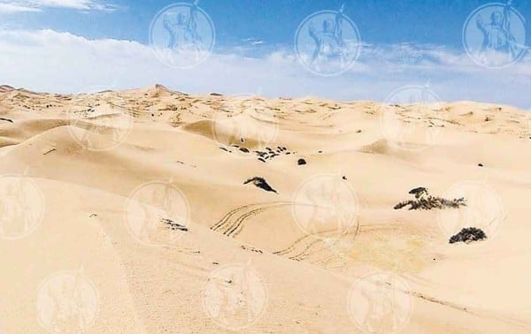 Se unen para limpiar las dunas de Samalayuca