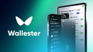 Cuenta Wallester Business: análisis y opiniones (2025)