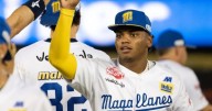 LVBP: Juegos para este domingo 30 de noviembre