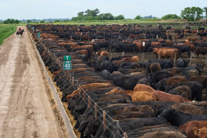 U.S. drops reciprocal tariff on Argentine beef, plans to boost quota