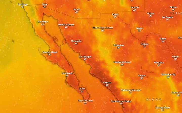 Clima en La Paz y Los Cabos para el viernes 14 de noviembre de 2025