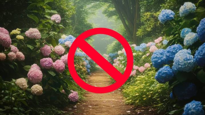 Ni hortensias ni orquídeas: la planta que hay que sembrar en noviembre para disfrutar de su aroma todo el año