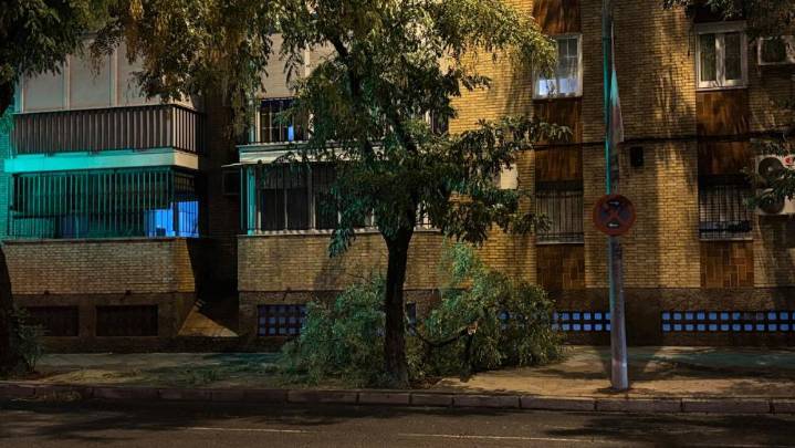 La borrasca Claudia deja 58 incidencias en la provincia de Sevilla