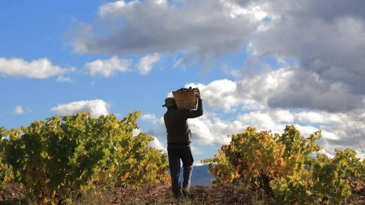 La Rioja: razones para celebrar un evento MICE en un destino único