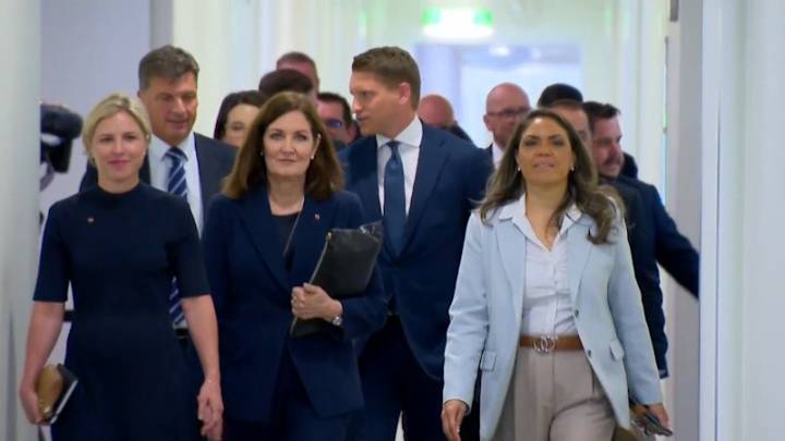 Liberal party set to abandon its net zero pledge