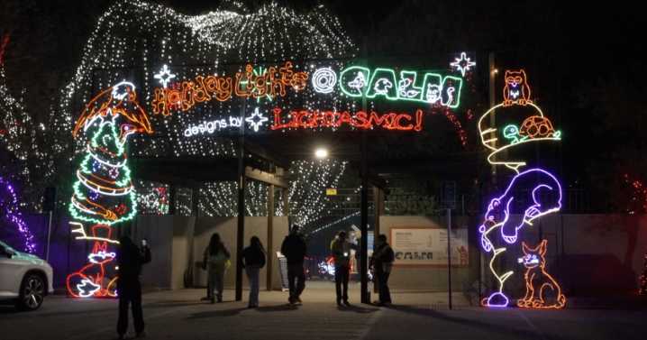 CALM Zoo kicks off Holiday Lights this weekend