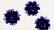 US cases of norovirus on the rise with double the rate of positive tests since August
