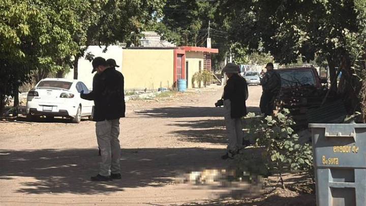 Fiscalía de Sinaloa realiza primera necropsia a un perro asesinado en ataque armado en Culiacán