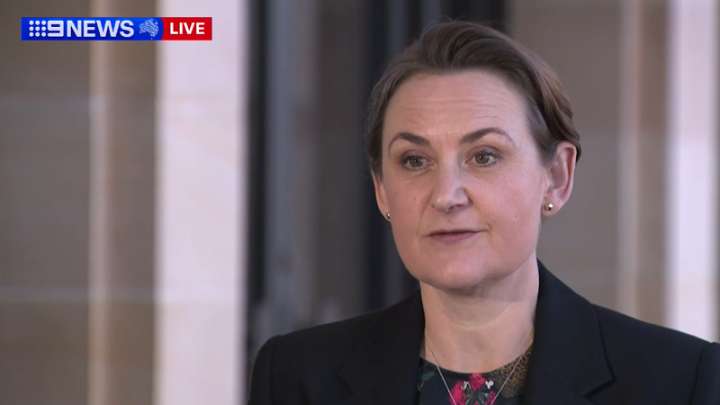 Sanderson backs Cook to lead Labor to next election