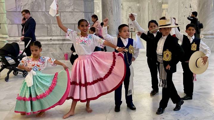 Latino population is 'strikingly diverse, relatively young, mostly US