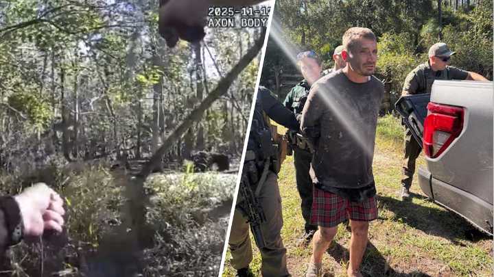 Man who spent 2 days in swamp after fleeing from Florida deputies found safe: Sheriff