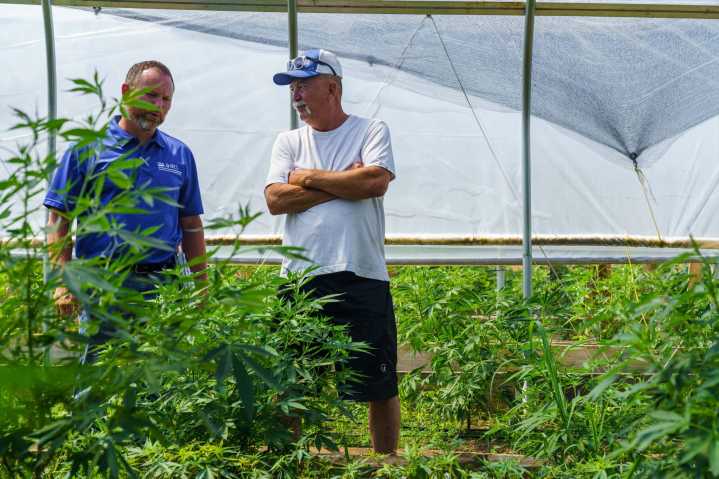Hemp growers, retailers targeted in section of government shutdown legislation