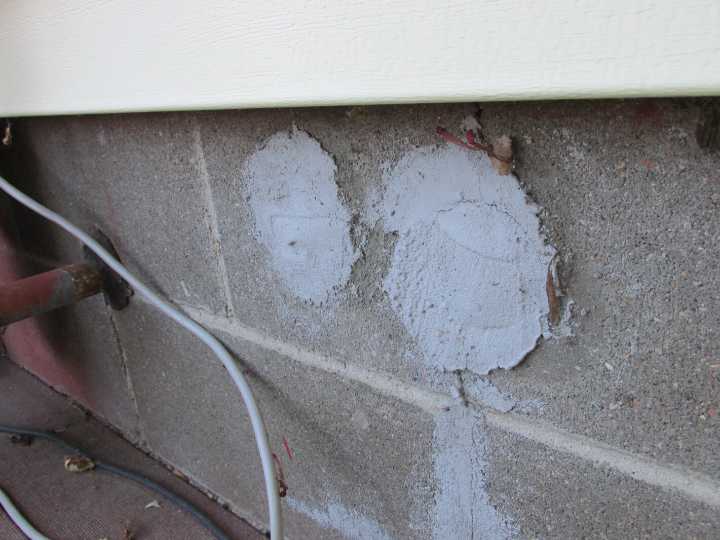 Keep mice outside where they belong