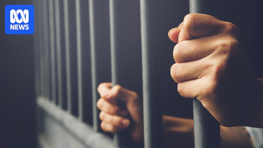 NSW to review inmate classifications following prison guard bashing