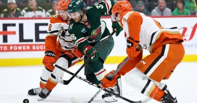 Jesper Wallstedt makes 28 saves for 2nd straight shutout, Wild beat Ducks 2