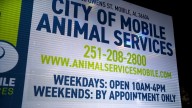 City of Mobile Animal Services finds 30+ dogs inside house