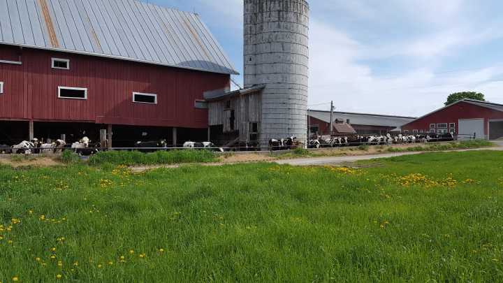 Home Acres Farm is the oldest farm in Vermont