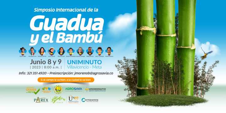 La guadua y el bambú del Llano se abren para buscar mercados internacionales