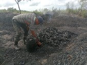 Sobrevivir al humo: la crónica de quienes viven del carbón en Colina de Chirica y Corocito