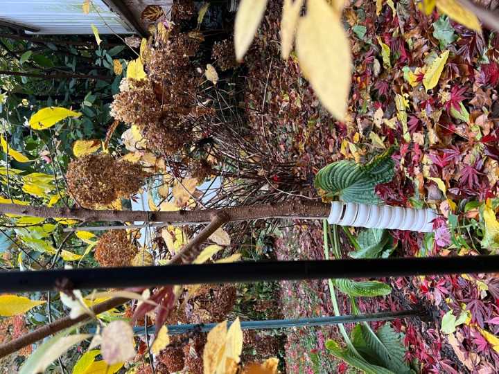 Fall chores make spring easier