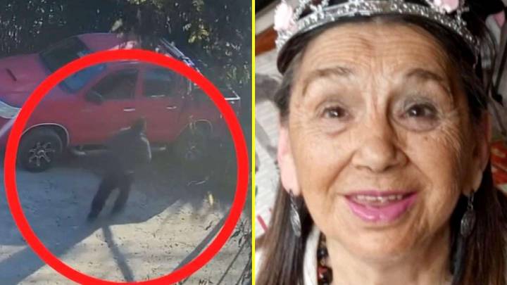 Nuevos videos muestran inconsistencias en testimonios por desaparición de María Ercira Contreras