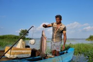 Sri Lankan freshwater fishers keen to  turn invasive species threat into an opportunity