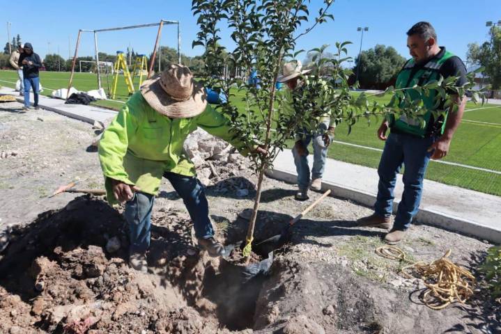 Continúan acciones de reforestación y limpieza en plazas de Saltillo