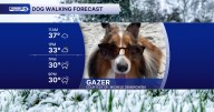 Sunday Dog Walking Forecast: Windy once again with lake effect snow for some