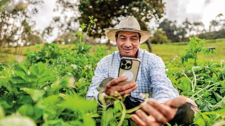 Convocatoria de inclusión financiera rural de CAF destaca 8 colombianos