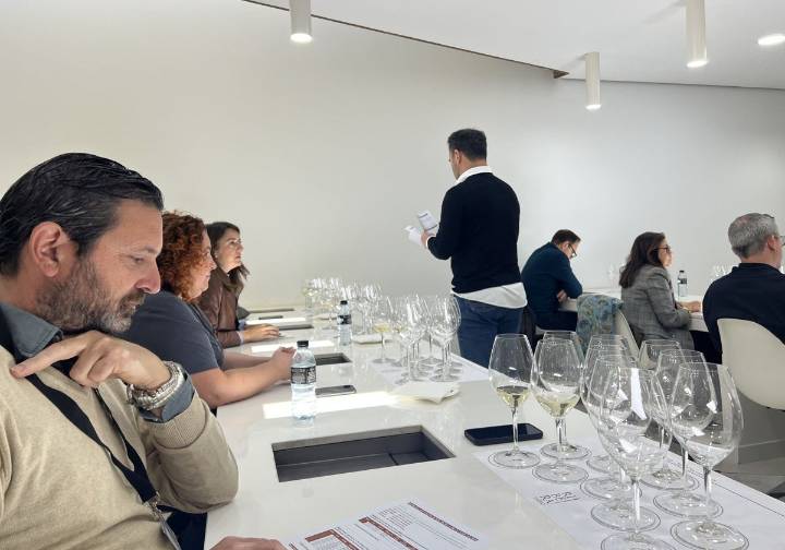 La añada 2024 de Ribera del Duero, calificada como 'Muy Buena'