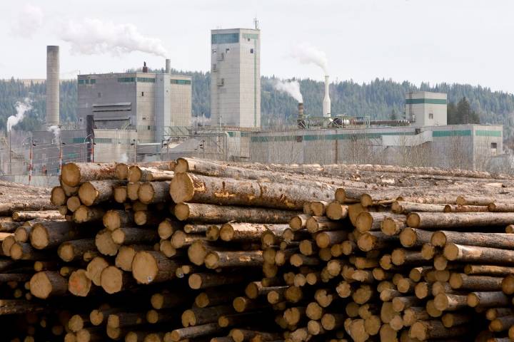 West Fraser Timber shutters mill in 100 Mile House, B.C., affecting 165 jobs