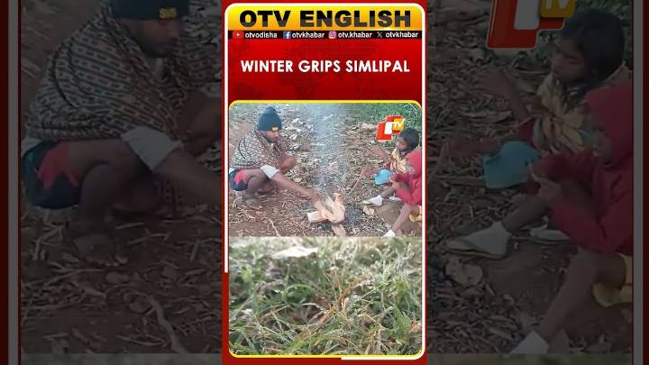Simlipal In Mayurbhanj District Wakes Up To Fog As Temperature Dips