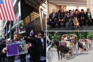 'Ryder's Law" shot down by NYC Council panel