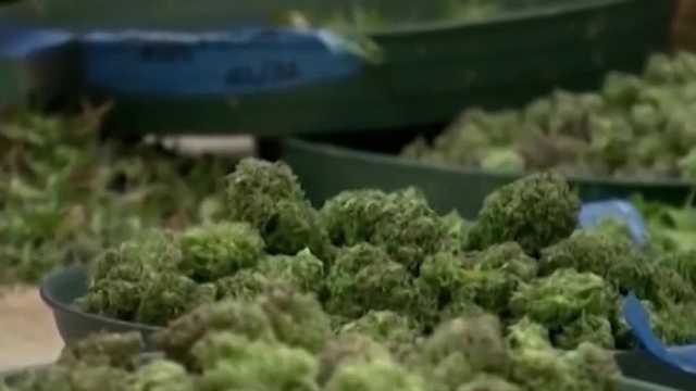 Nebraska Medical Cannabis Commission doesn't budge on restrictive regulations