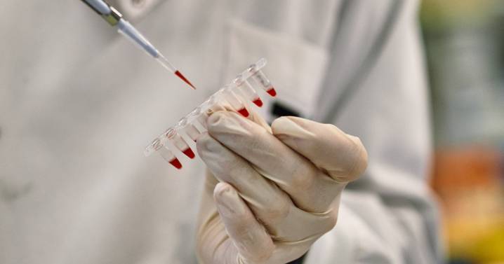 La Fundación ”la Caixa” impulsa 34 nuevos proyectos biomédicos con un fondo de 26 millones