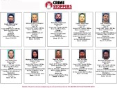 Los más buscados de la semana