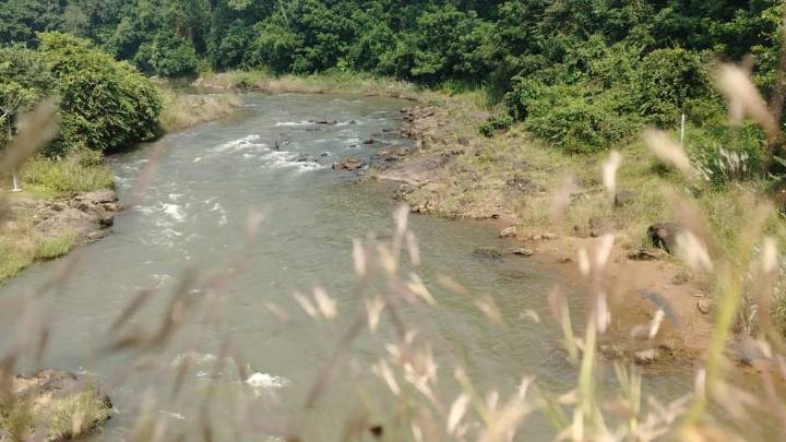 Six Maoists killed in encounter at Papikonda National Park in Andhra Pradesh