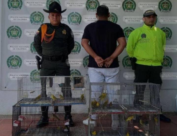 Lo agarraron con los ‘pajaritos’ en las manos