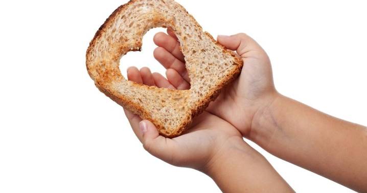 Scouting for Food celebrates 40 years