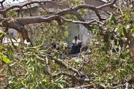 La Cruz Roja busca recaudar 18 millones de dólares para Cuba tras el paso de Melissa