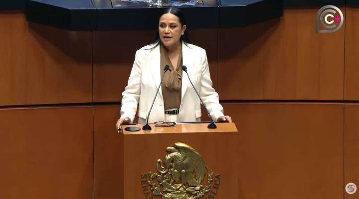 Rechaza Montiel uso político de programas del Bienestar; ataja críticas en el Senado