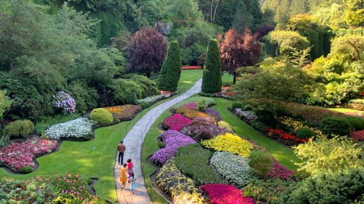 Abbotsford Woman Experiences Embarrassing Bout of Garden Envy