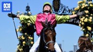 Melbourne Cup 2025 live updates: Al Riffa and Half Yours favourites as wet weather hits Flemington