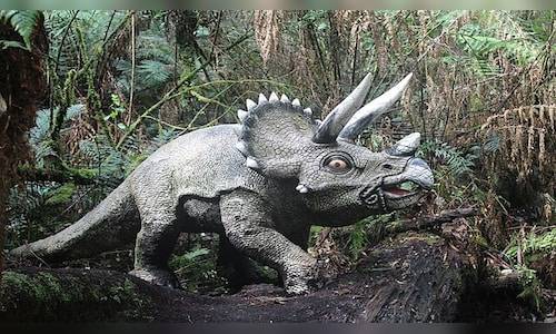 Rare fossil resembling Triceratops unearthed along Sahansara River in Uttar Pradesh