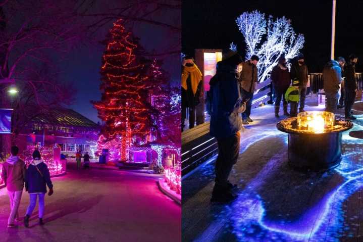 11 light displays in and around Calgary you have to check out