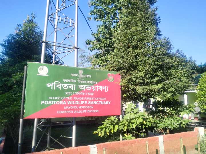 Pobitora Wildlife Sanctuary witnesses surge in migratory birds