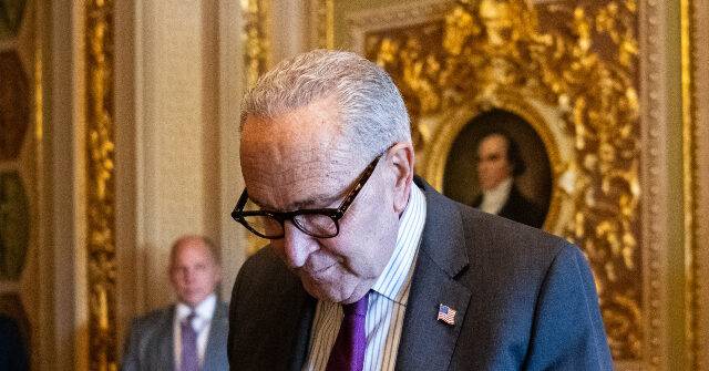 Dem Calls Party Leaders 'Porch Puppies' for Caving to Republicans